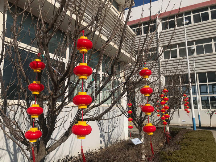 烟台五大联赛在线化工恭祝大家2021牛年行大运